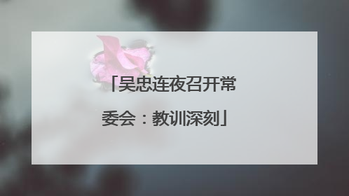 吴忠连夜召开常委会：教训深刻