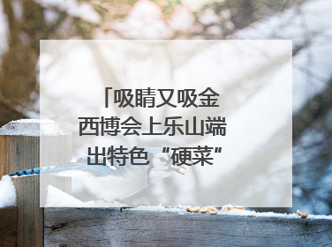 吸睛又吸金 西博会上乐山端出特色“硬菜”｜西博视界