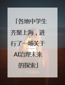 各地中学生齐聚上海，进行了一场关于AI治理未来的探索