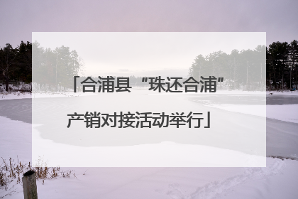 合浦县“珠还合浦”产销对接活动举行
