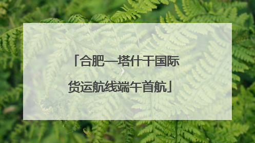 合肥—塔什干国际货运航线端午首航