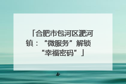 合肥市包河区淝河镇：“微服务”解锁“幸福密码”