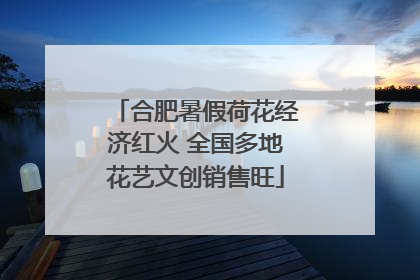 合肥暑假荷花经济红火 全国多地花艺文创销售旺