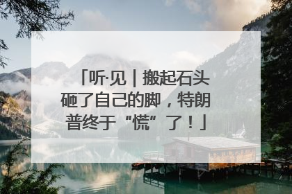 听·见｜搬起石头砸了自己的脚，特朗普终于“慌”了！