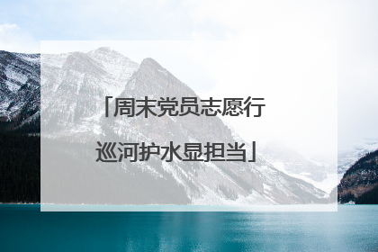 周末党员志愿行 巡河护水显担当