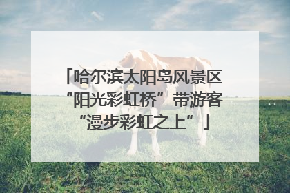 哈尔滨太阳岛风景区“阳光彩虹桥”带游客“漫步彩虹之上”