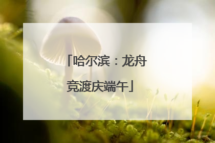 哈尔滨：龙舟竞渡庆端午