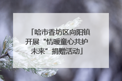 哈市香坊区向阳镇开展“情暖童心共护未来”捐赠活动