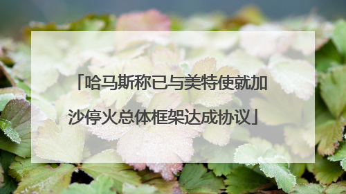 哈马斯称已与美特使就加沙停火总体框架达成协议