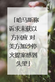 哈马斯称诉求未获以方回应 对美方加沙停火提案感到失望