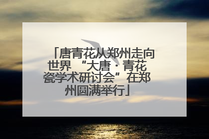 唐青花从郑州走向世界 “大唐・青花瓷学术研讨会”在郑州圆满举行