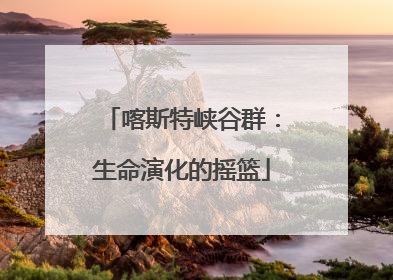 喀斯特峡谷群：生命演化的摇篮