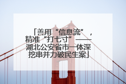 善用“信息流”，精准“打七寸”——湖北公安省市一体深挖串并力破民生案