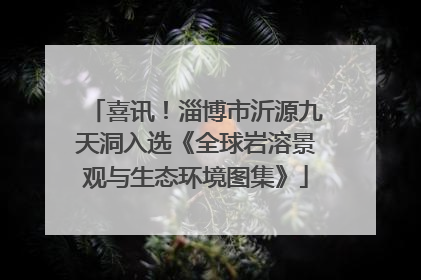 喜讯！淄博市沂源九天洞入选《全球岩溶景观与生态环境图集》