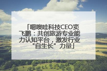 嗯噢哇科技CEO窦飞鹏：共创旅游专业能力认知平台，激发行业“自生长”力量