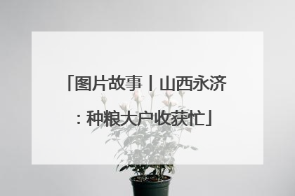 图片故事丨山西永济：种粮大户收获忙