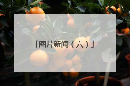 图片新闻（六）