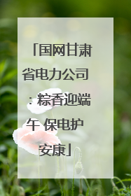 国网甘肃省电力公司：粽香迎端午 保电护安康
