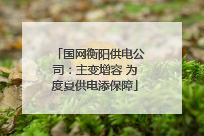 国网衡阳供电公司：主变增容 为度夏供电添保障
