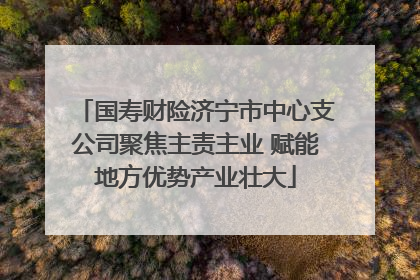 国寿财险济宁市中心支公司聚焦主责主业 赋能地方优势产业壮大
