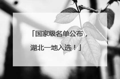 国家级名单公布，湖北一地入选！