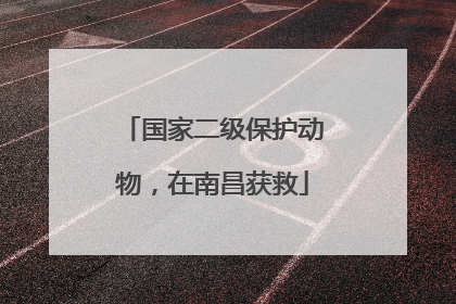 国家二级保护动物，在南昌获救