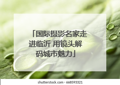 国际摄影名家走进临沂 用镜头解码城市魅力
