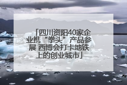 四川资阳40家企业携“拳头”产品参展 西博会打卡地铁上的创业城市