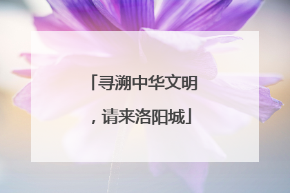 寻溯中华文明，请来洛阳城