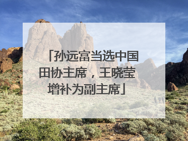 孙远富当选中国田协主席，王晓莹增补为副主席