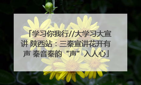 学习你我行//大学习大宣讲 陕西站：三秦宣讲花开有声 秦音秦韵“声”入人心