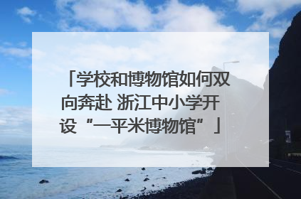 学校和博物馆如何双向奔赴 浙江中小学开设“一平米博物馆”