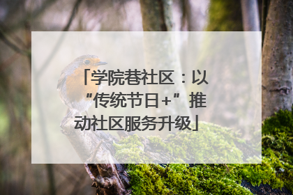 学院巷社区：以“传统节日+”推动社区服务升级
