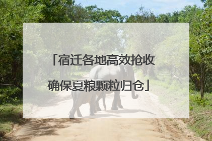 宿迁各地高效抢收 确保夏粮颗粒归仓