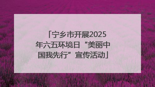 宁乡市开展2025年六五环境日“美丽中国我先行”宣传活动