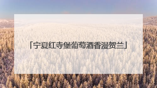 宁夏红寺堡葡萄酒香漫贺兰