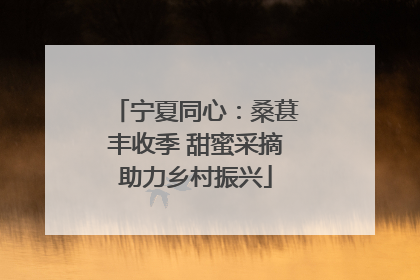 宁夏同心：桑葚丰收季 甜蜜采摘助力乡村振兴