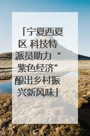 宁夏西夏区 科技特派员助力“紫色经济”酿出乡村振兴新风味