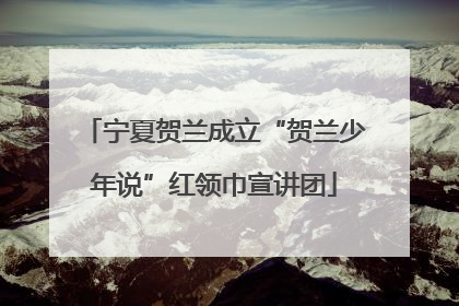 宁夏贺兰成立“贺兰少年说”红领巾宣讲团