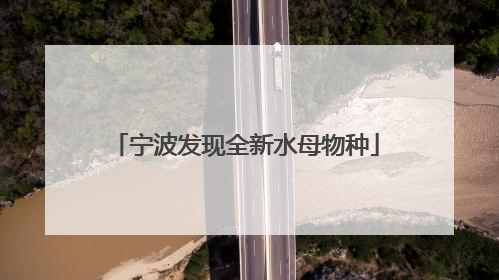 宁波发现全新水母物种