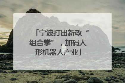 宁波打出新政“组合拳”，加码人形机器人产业