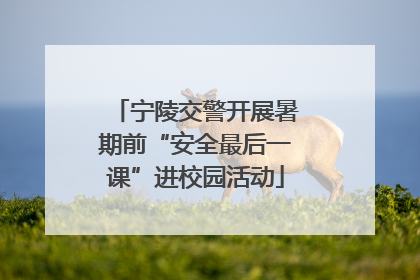 宁陵交警开展暑期前“安全最后一课”进校园活动