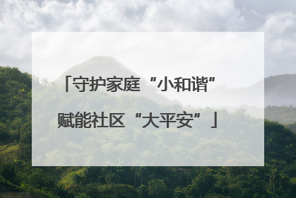 守护家庭“小和谐” 赋能社区“大平安”