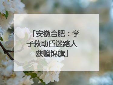 安徽合肥：学子救助昏迷路人获赠锦旗