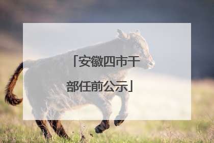 安徽四市干部任前公示