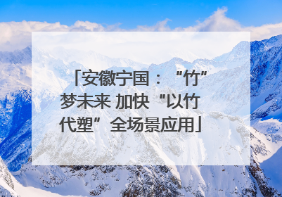 安徽宁国：“竹”梦未来 加快“以竹代塑”全场景应用