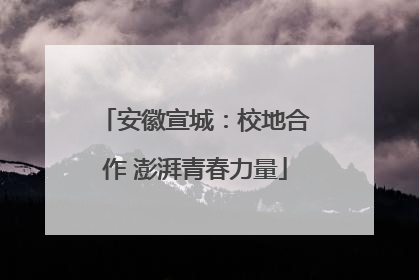 安徽宣城：校地合作 澎湃青春力量