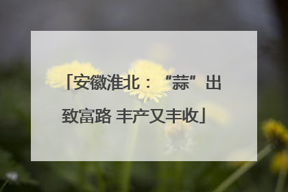 安徽淮北：“蒜”出致富路 丰产又丰收