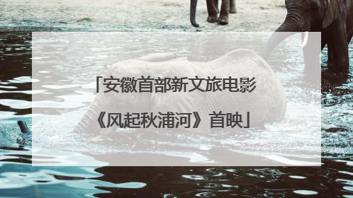 安徽首部新文旅电影《风起秋浦河》首映