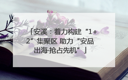 安溪：着力构建“1+2”集聚区 助力“安品出海·抢占先机”